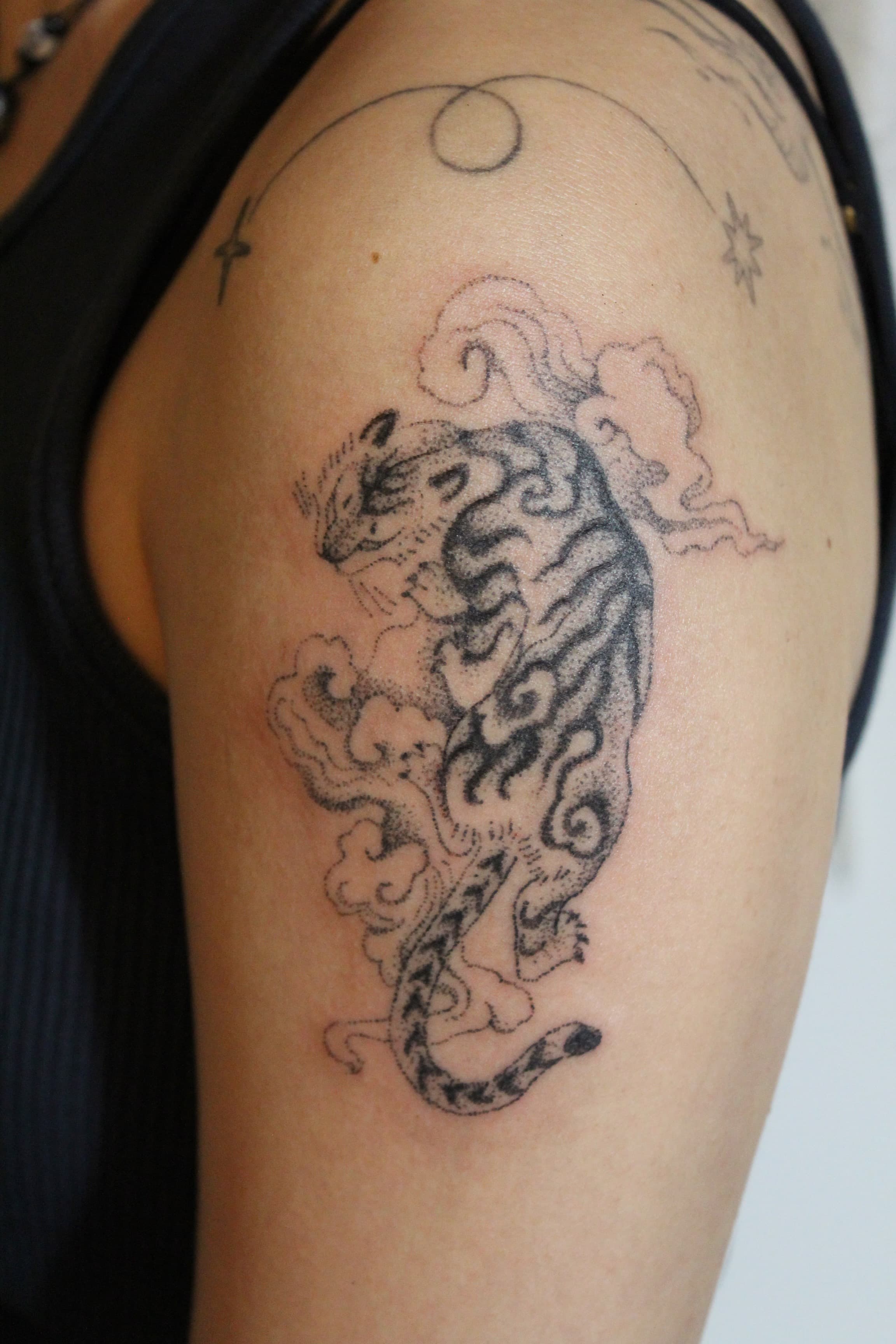Gallery image 12