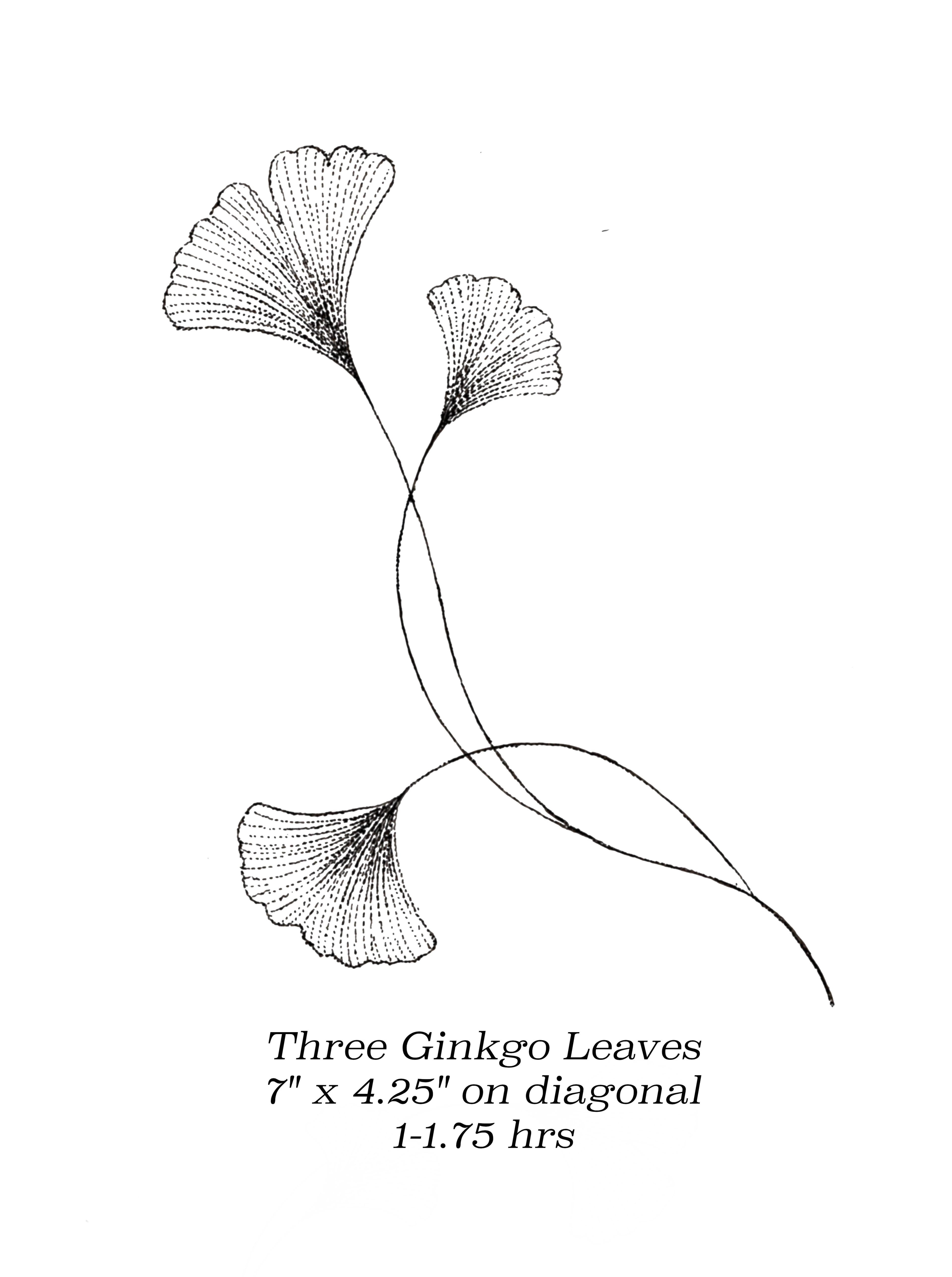 Flash image 7