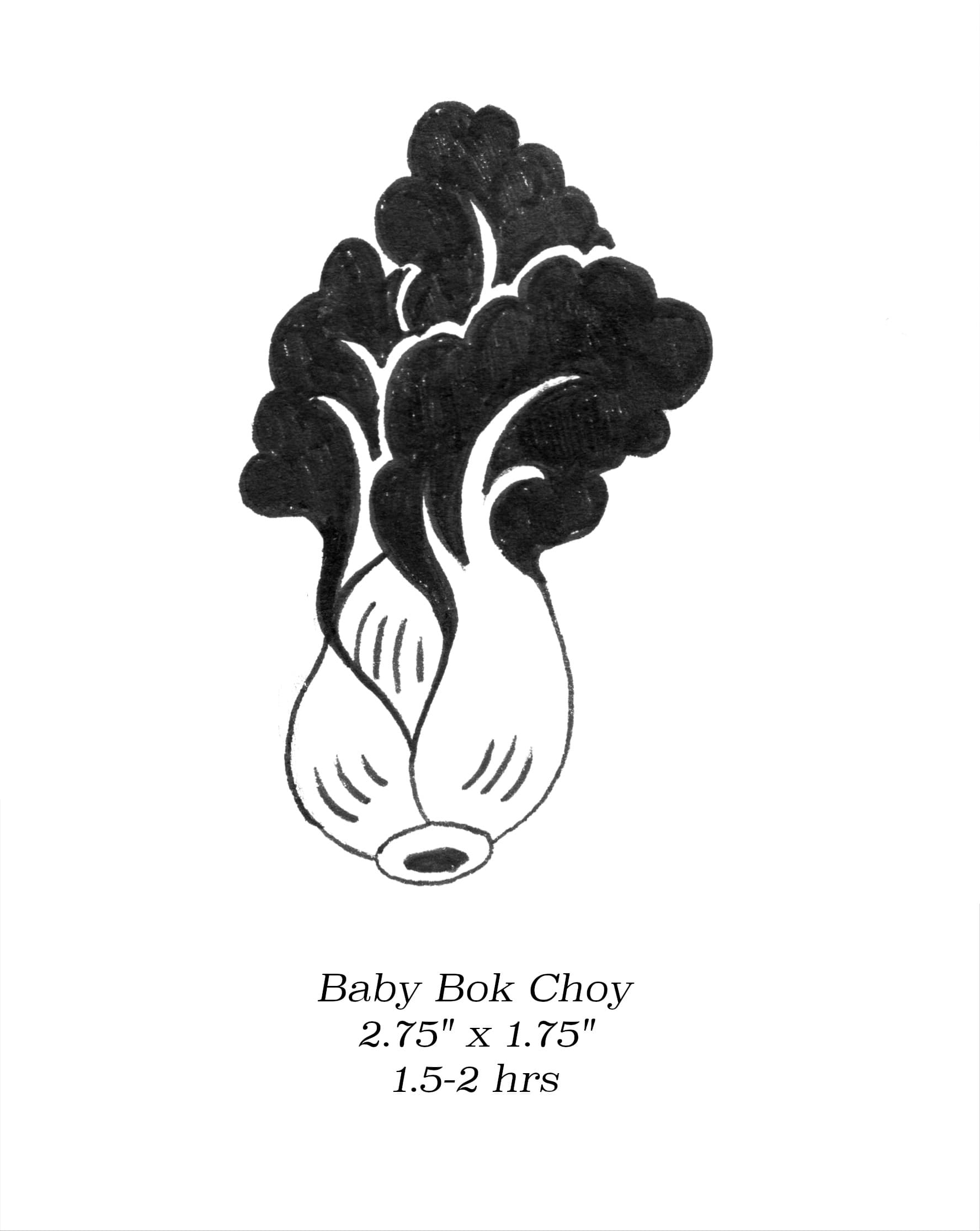 Flash image 76