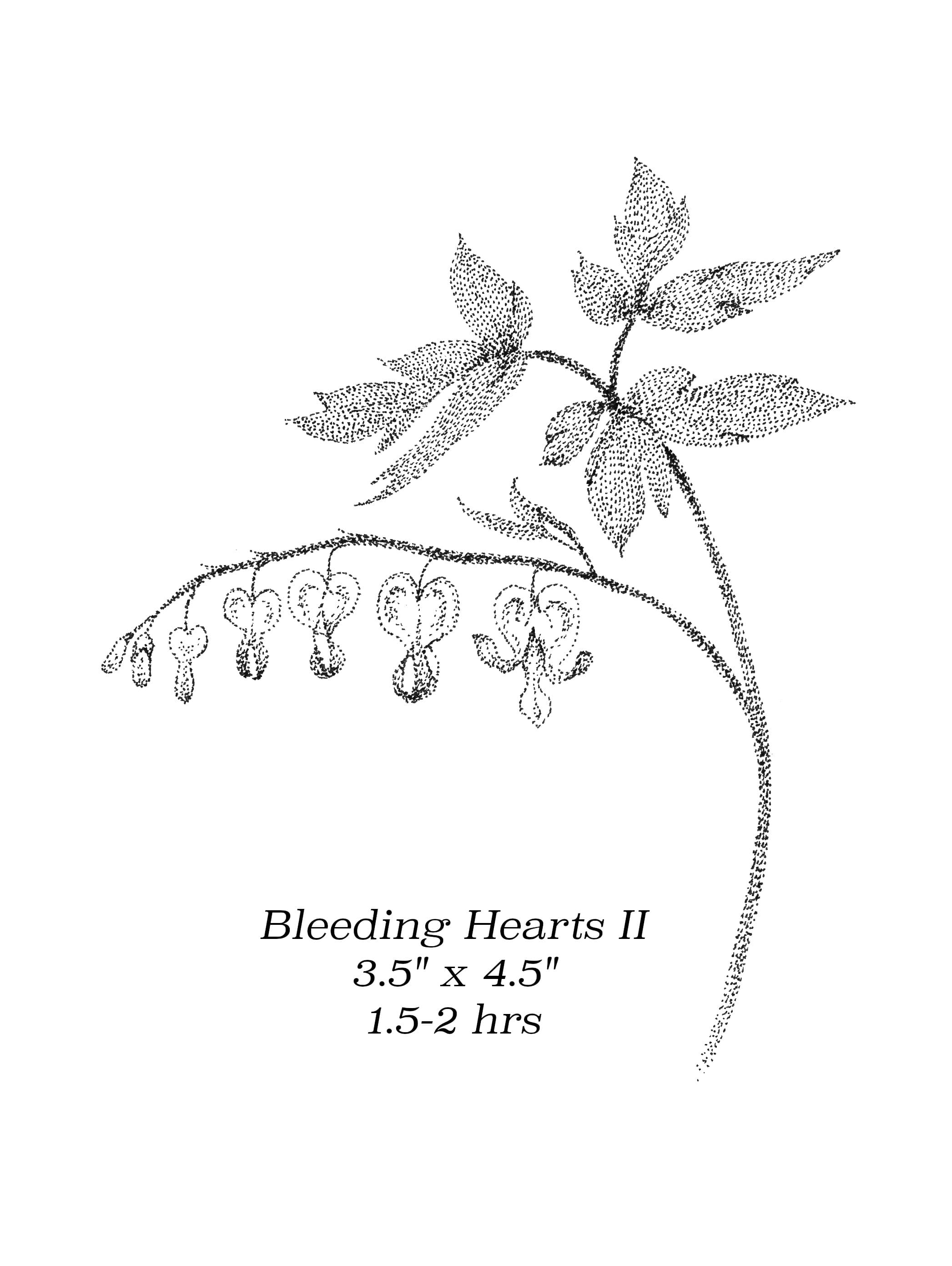 Flash image 66
