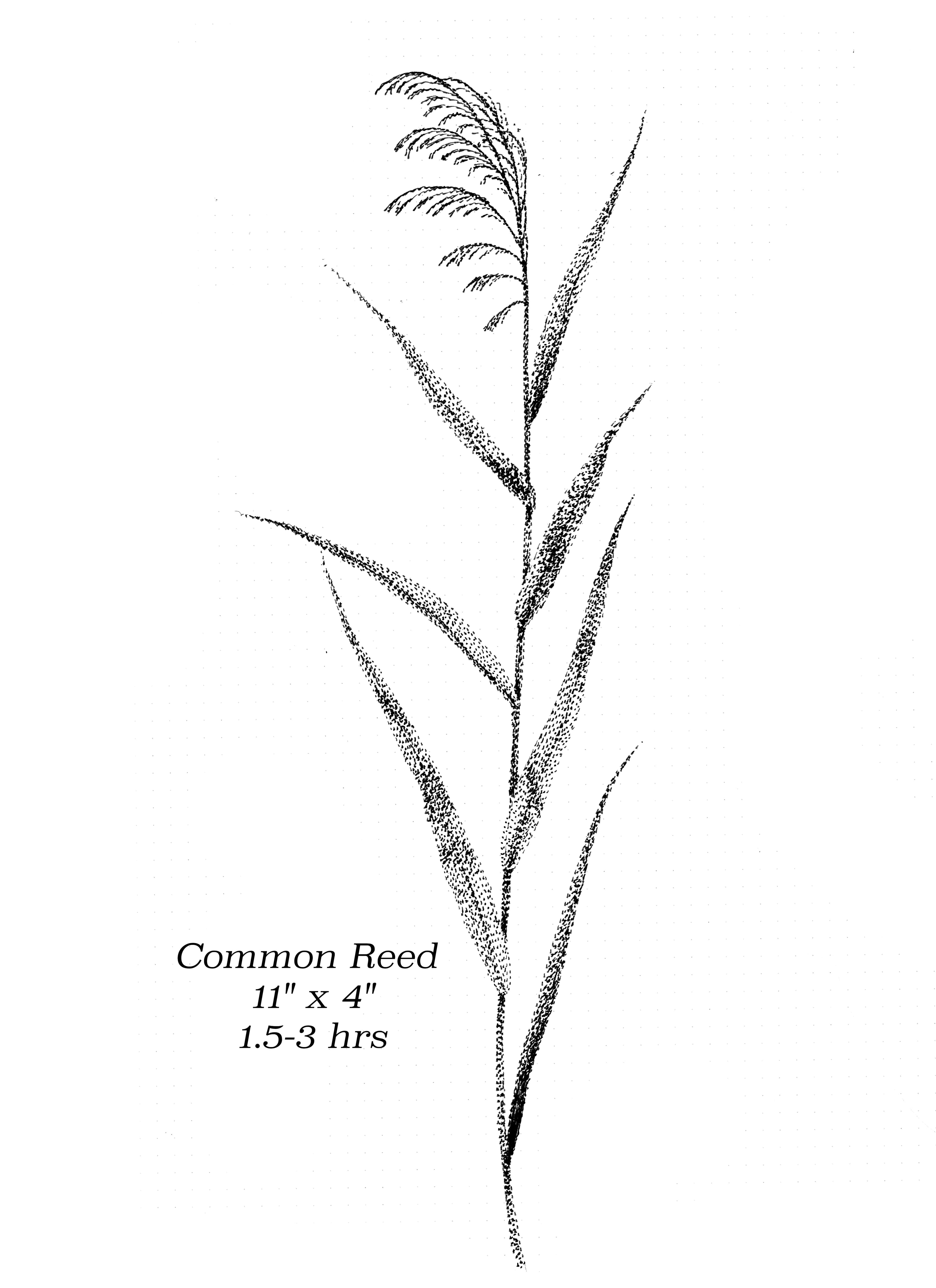 Flash image 6