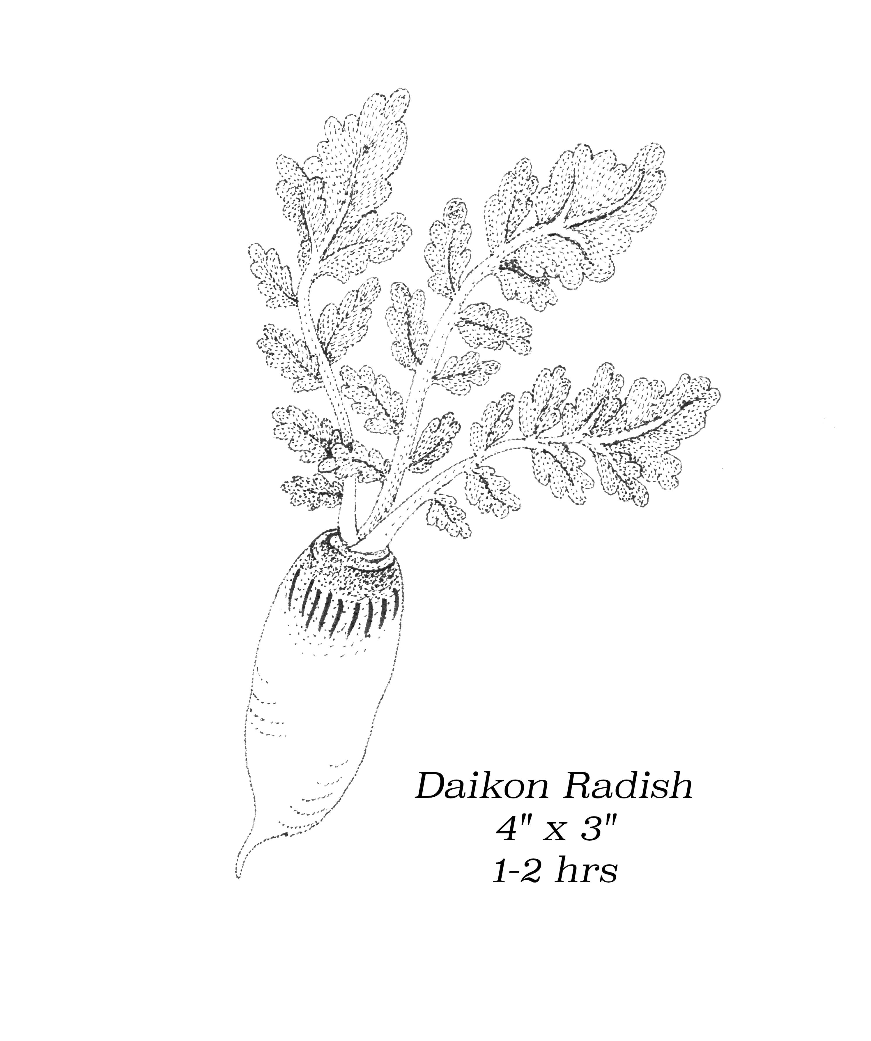 Flash image 62