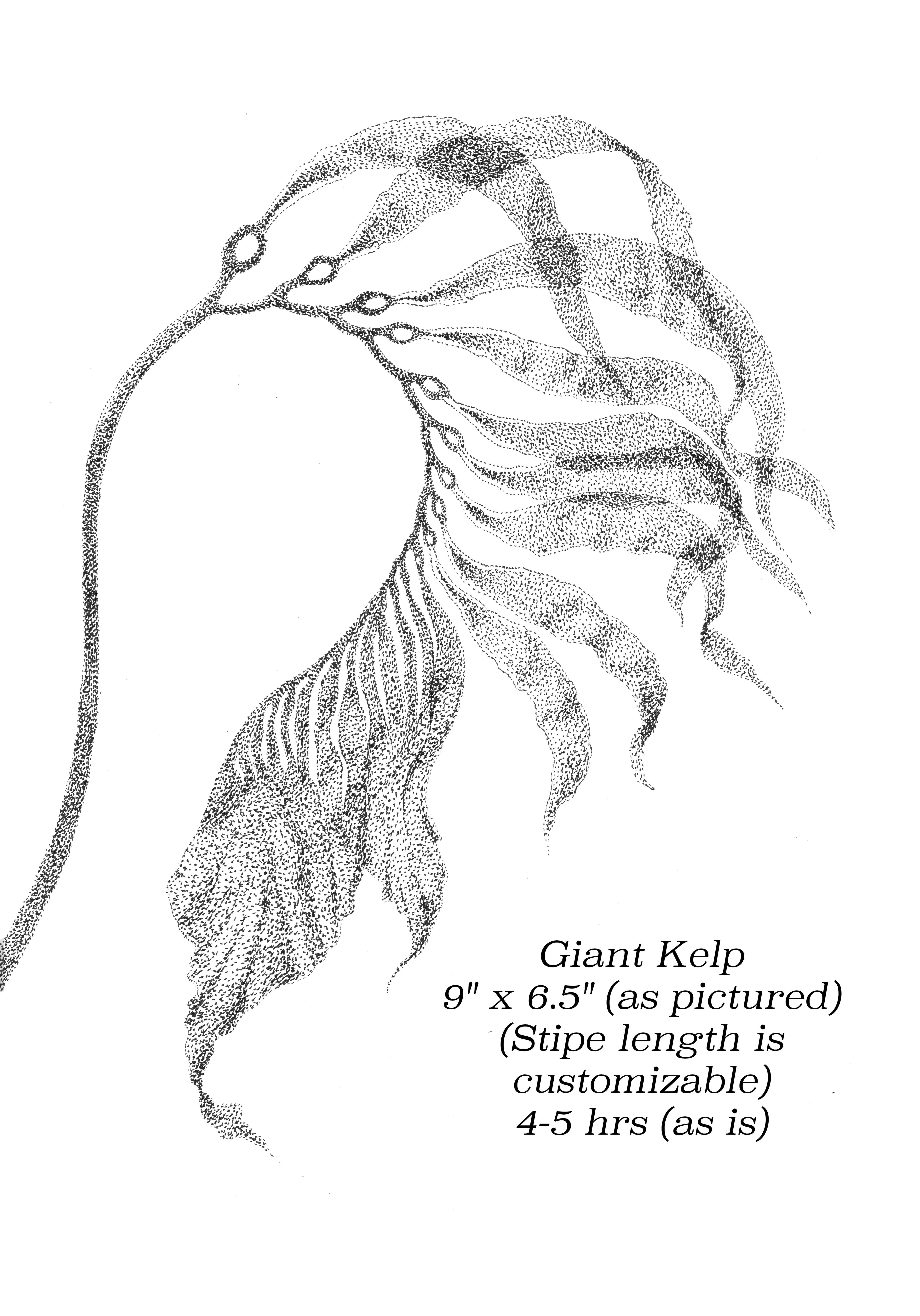 Flash image 58