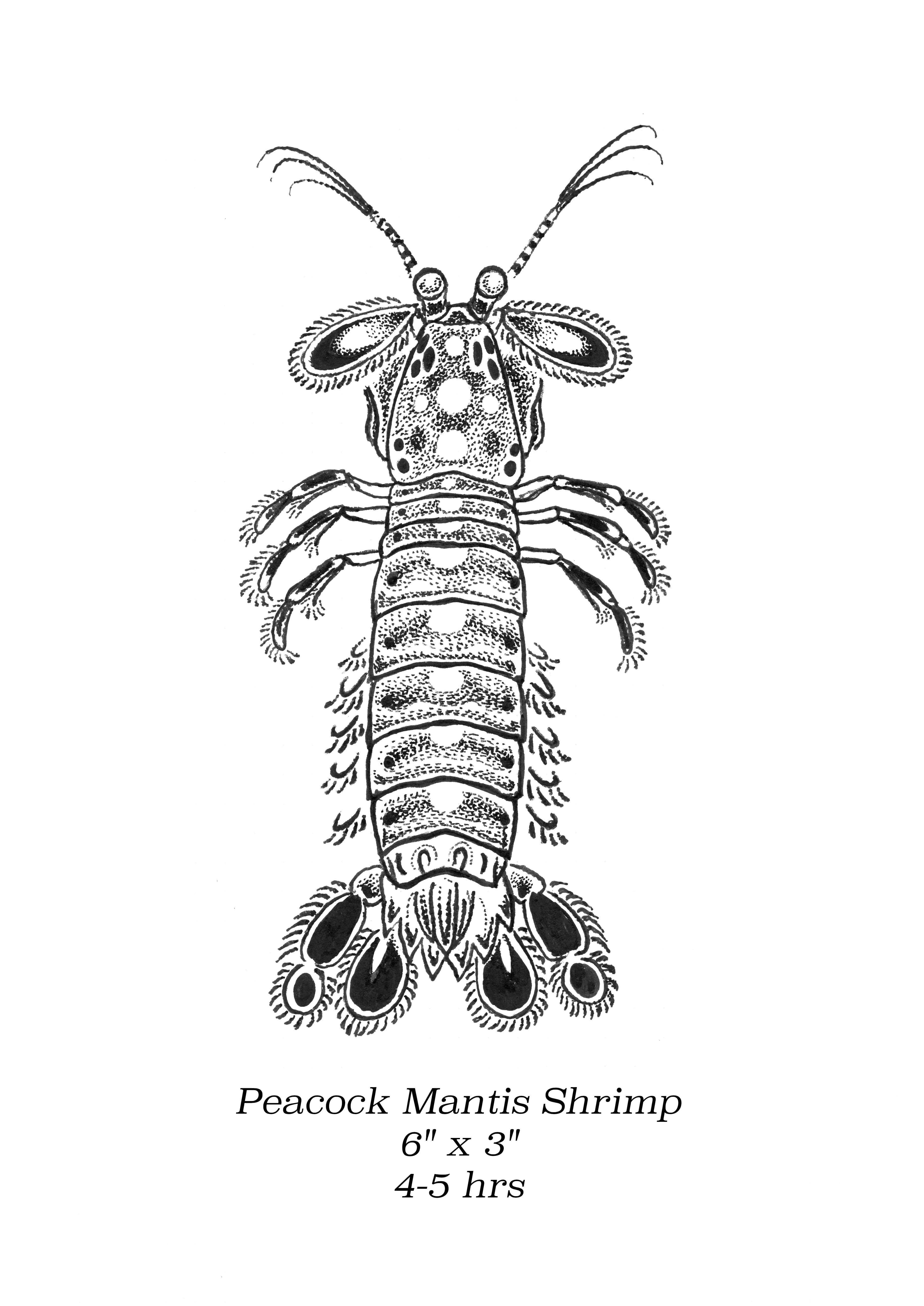 Flash image 46