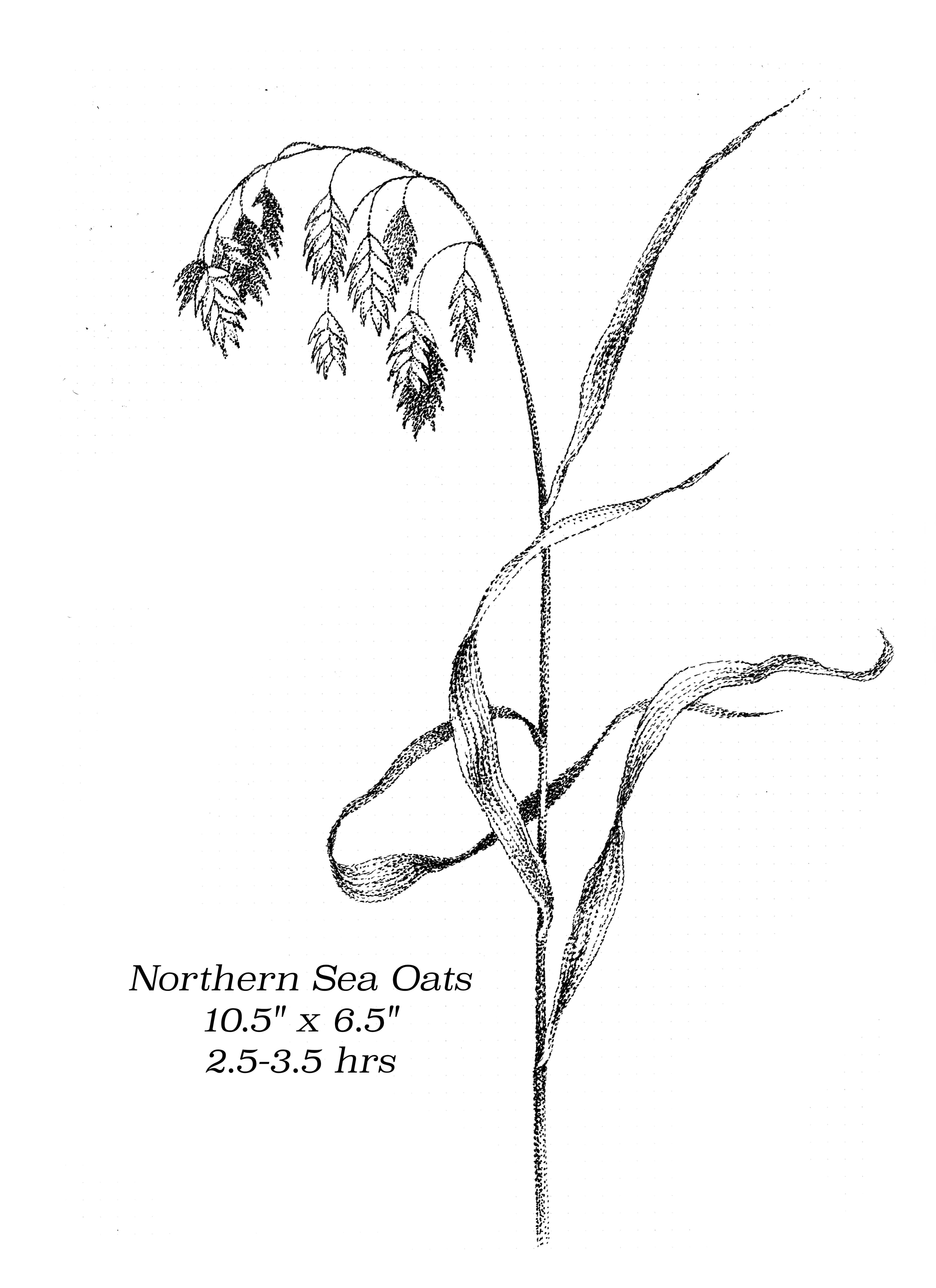 Flash image 7