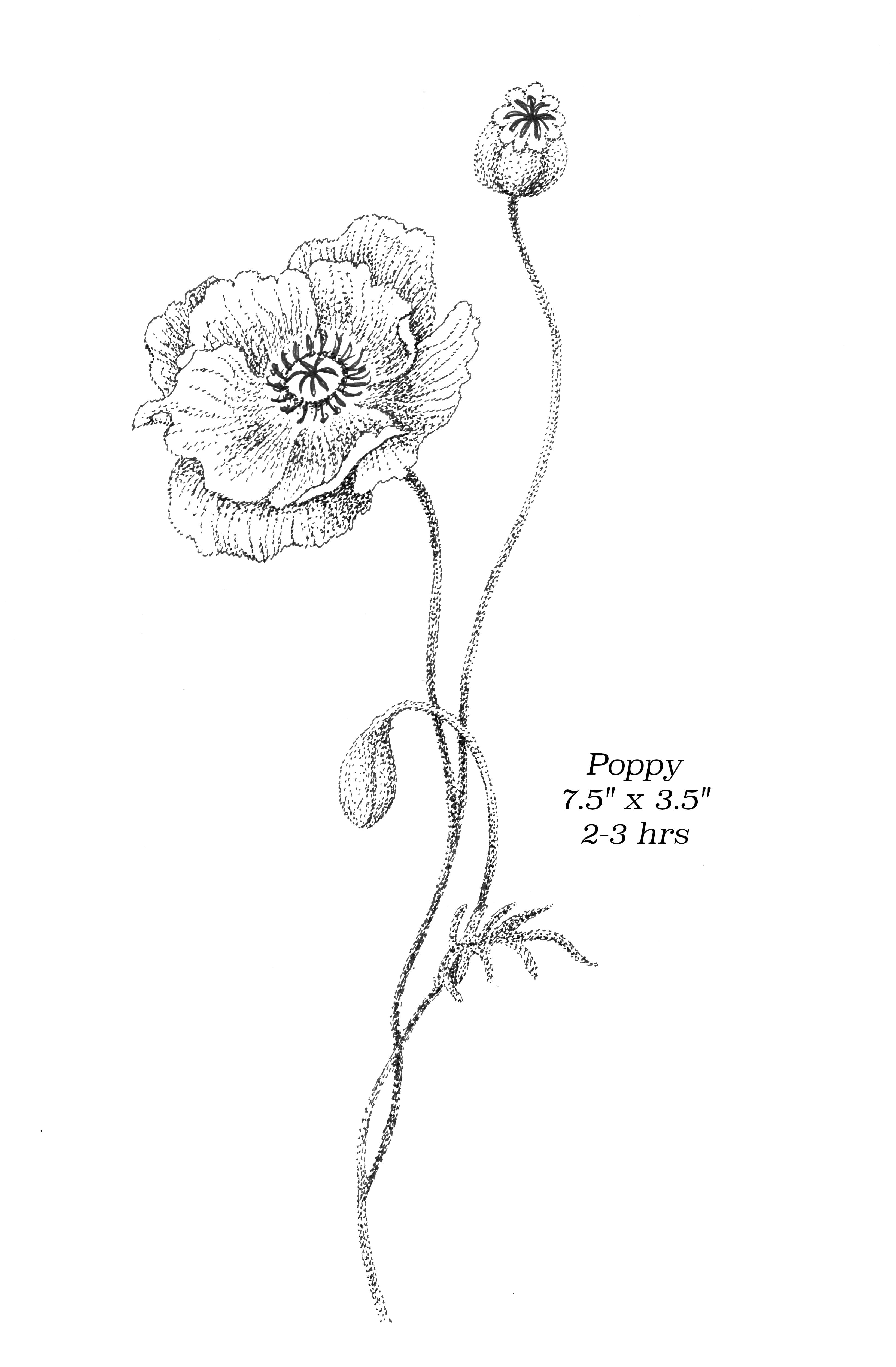 Flash image 22