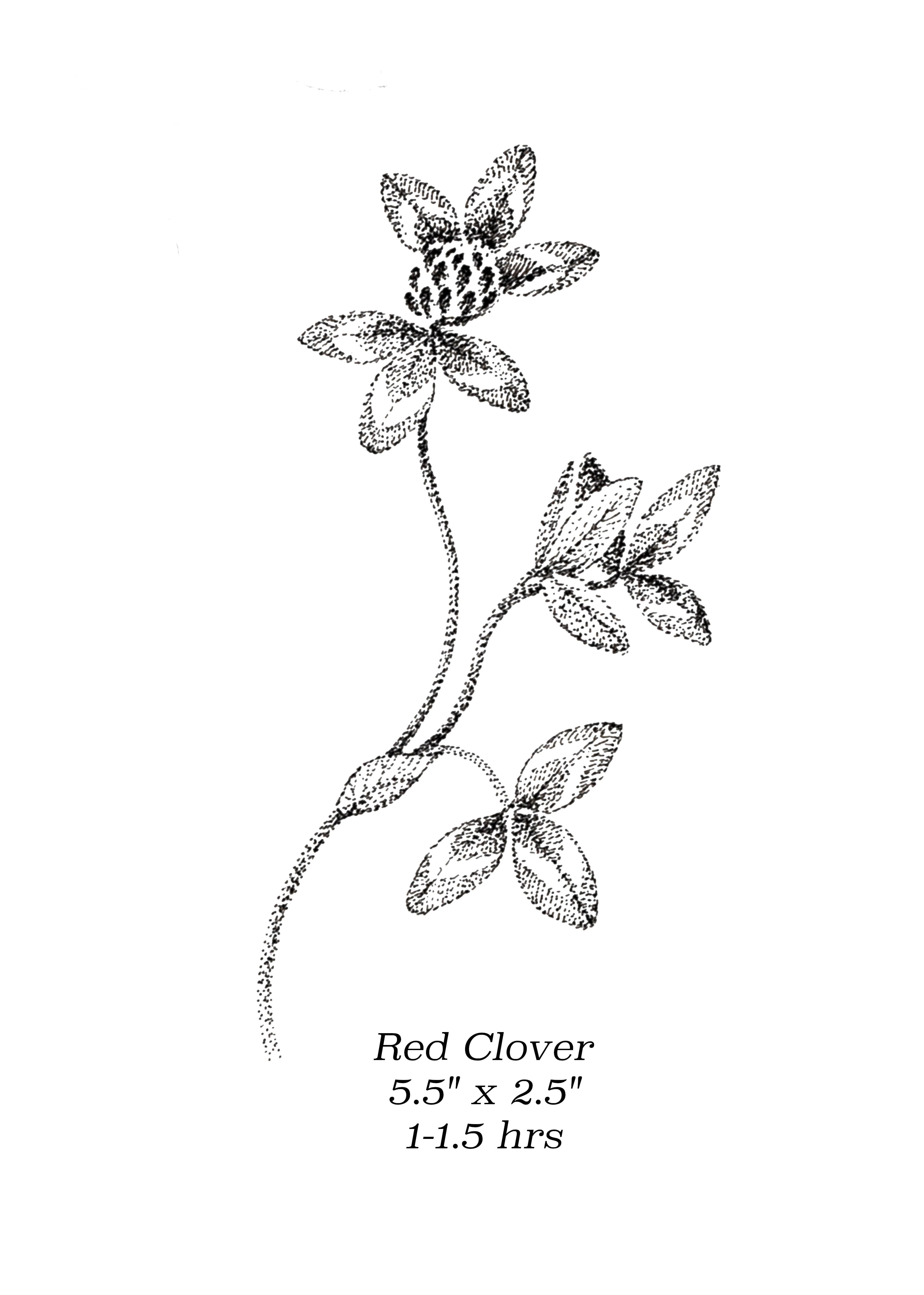 Flash image 8