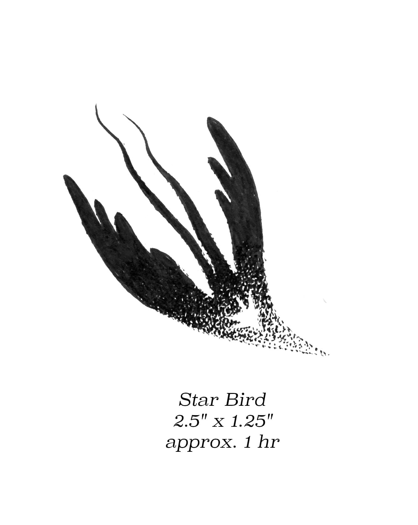 Flash image 70