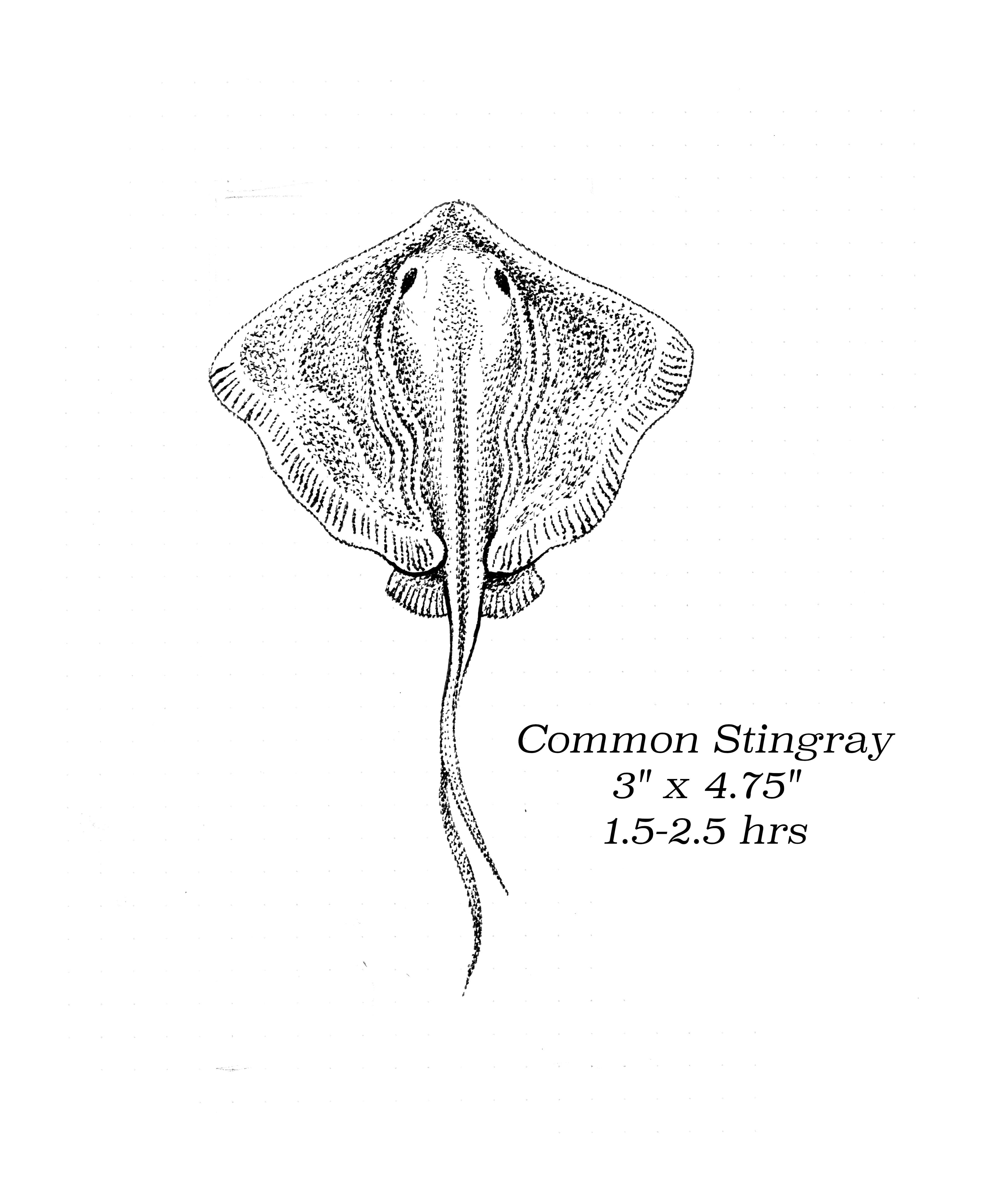 Flash image 33