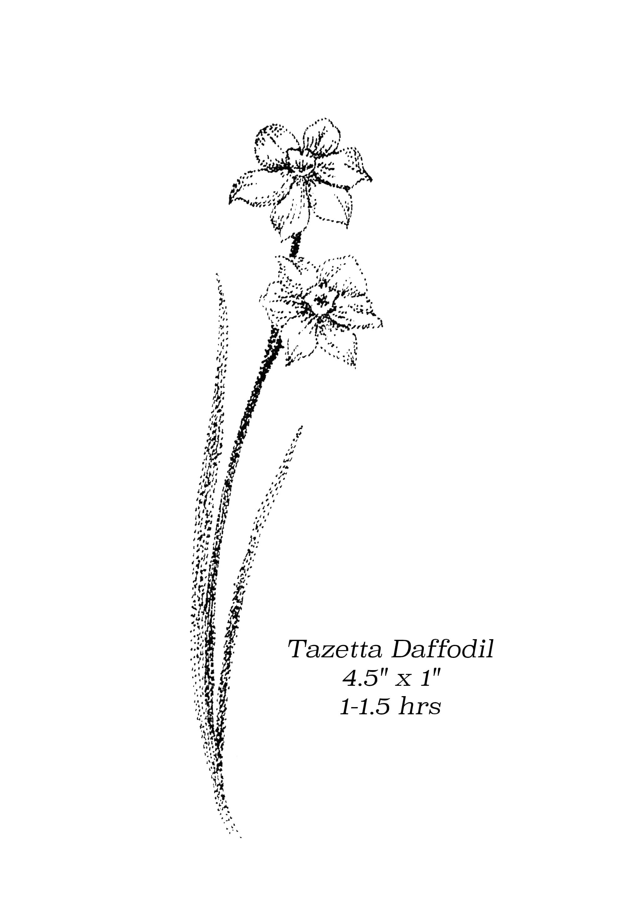 Flash image 18