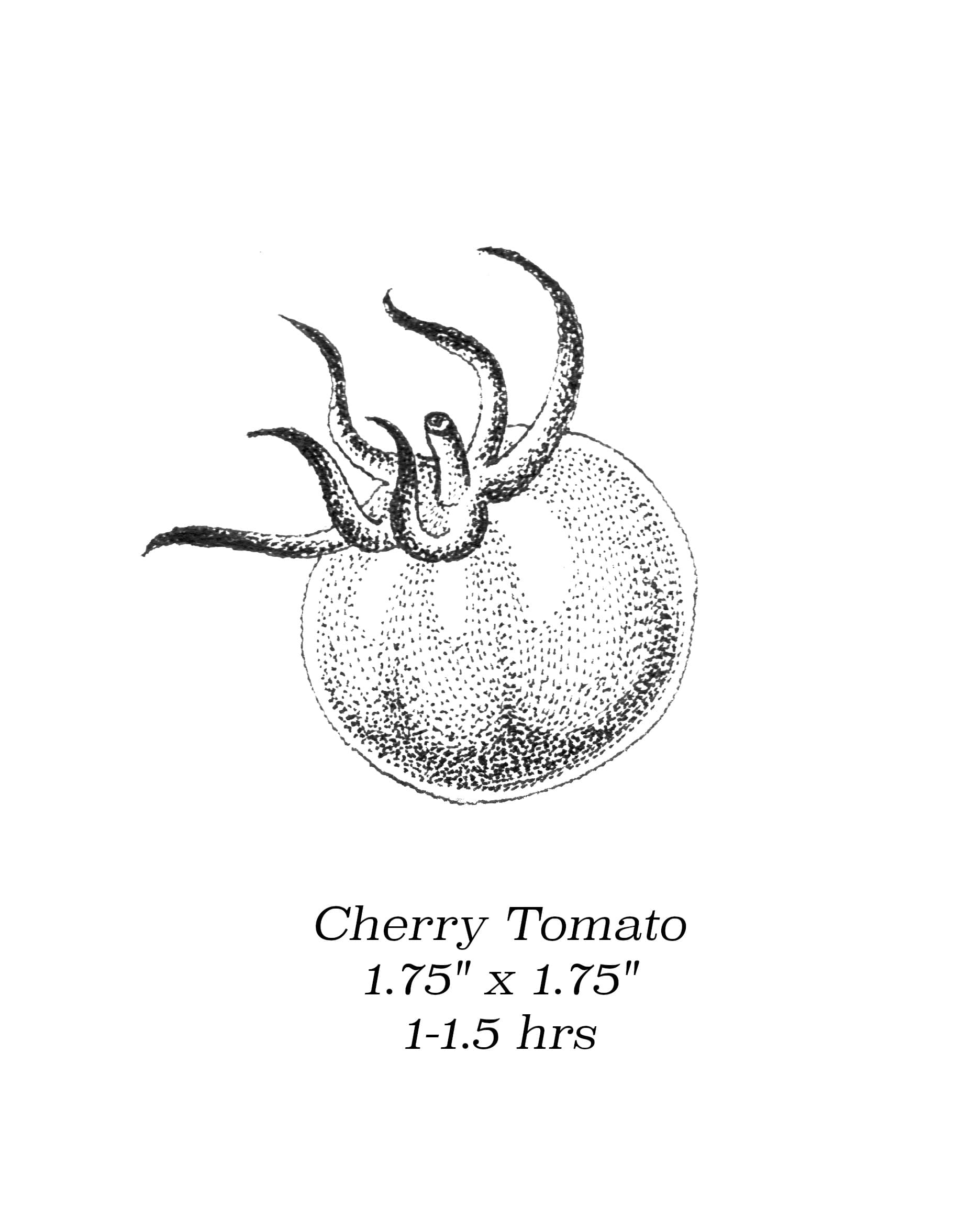 Flash image 17