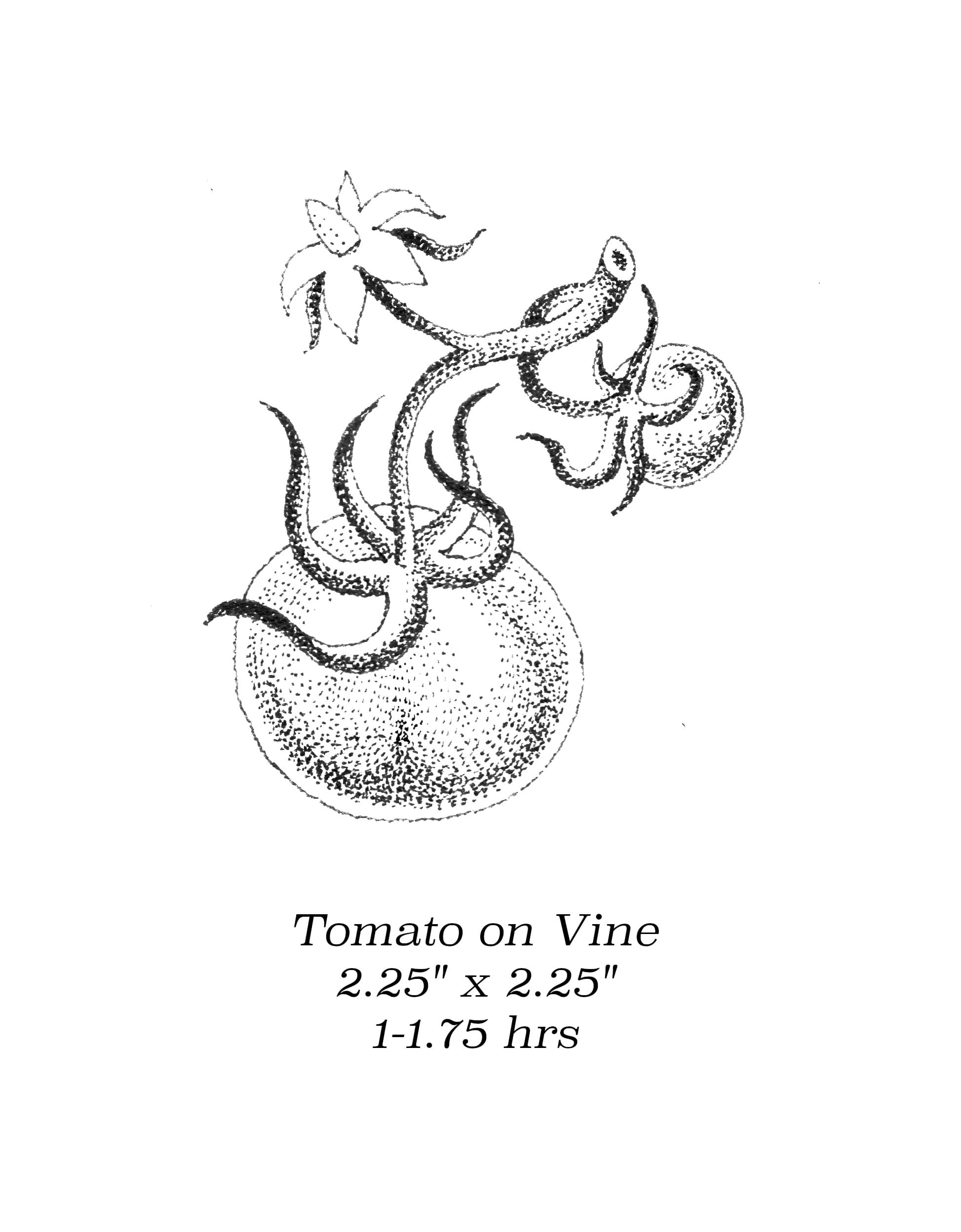Flash image 16