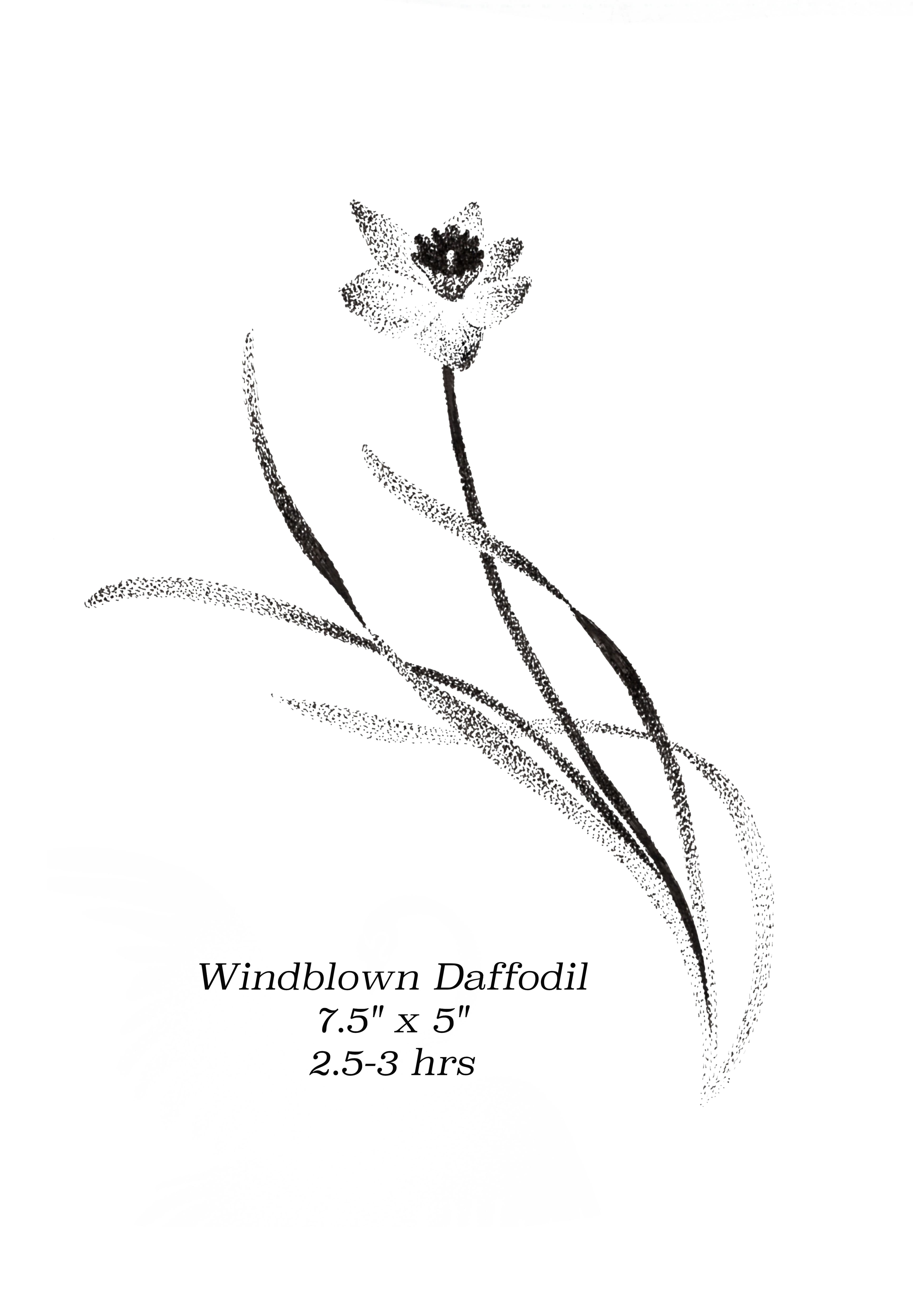Flash image 9